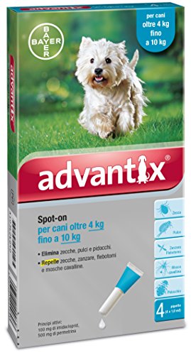 1 PZ di BAYER ADVANTIX SPOT ON 4P. CANI KG. 4-10
