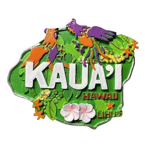 Lihue Kauai Hawaii Stati Uniti Magnete da frigorifero souvenir da viaggio 3D decorazione per frigorifero adesivo magnetico collezione artigianale
