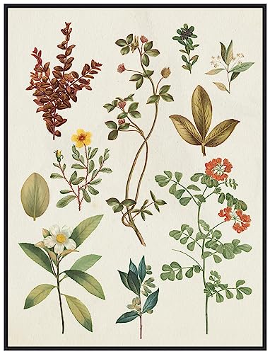 Amanti Art Framed Canvas Wall Art 42x32 Victorian Garden III Autumn Crop I by Wild Apple Portfolio, Framed Wall Art Canvas, Flowers Artwork, Modern Decor, Oversize Poster Painting for Living Room,