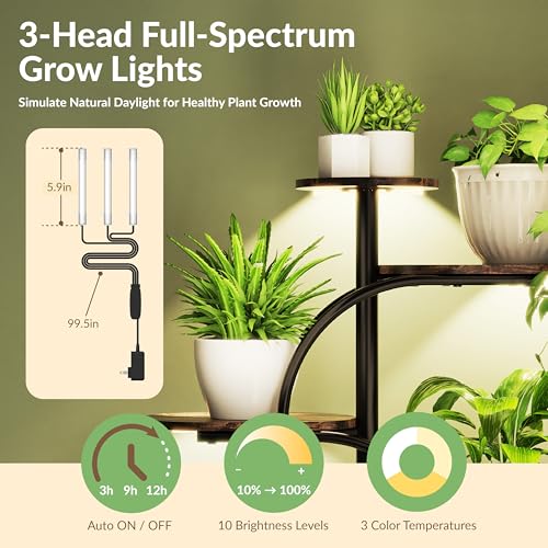 Image of Plant Stand with Grow Light, Sturdy 61 inch Tall Plant Shelf Indoor, 8 Tiered Plant Shelves with Grow Lights, Large Indoor Plant Stands for Multiple Plants, Black Oval Display Rack for Home Decor