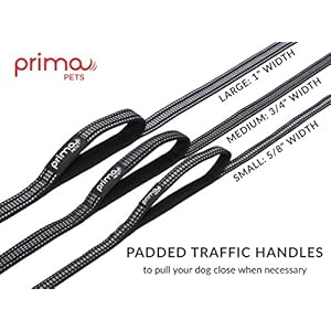 Reflective 4 Feet Nylon Dog Leash with Padded Double Handles, 2 Heavy Duty Neoprene Handles for Control Safety Training Durable Traffic Handle, for Medium to Large Dog (Large – 1″ Width, Black)