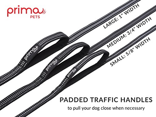 Reflective 4 Feet Nylon Dog Leash with Padded Double Handles, 2 Heavy Duty Neoprene Handles for Control Safety Training Durable Traffic Handle, for Medium to Large Dog (Large – 1″ Width, Black) Reflective 4 Feet Nylon Dog Leash with Padded Double Handles, 2 Heavy Duty Neoprene Handles for Control Safety Training Durable Traffic Handle, for Medium to Large Dog (Large – 1″ Width, Black)
