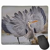 Designer-Mauspads für Personal Computer / Laptop