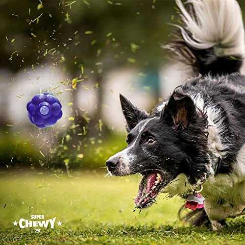 SuperChewy Tough Tumbler Ball Toy Strong Natural Rubber | Smear Treats Inside to Excite Dogs | Ultra Durable Chewing Toy for Aggressive Chewers | for All Breeds SuperChewy Tough Tumbler Ball Toy Strong Natural Rubber | Smear Treats Inside to Excite Dogs | Ultra Durable Chewing Toy for Aggressive Chewers | for All Breeds