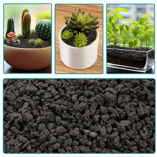 Image of 2.5lbs Small Lava Rocks for Plants Drainage, 1 /5 Inch Black Gravel Mulch for House Plants, Succulent Rocks Pebbles for Planters,Cactus, Bonsai Tree, Pure Volcanic Rocks, Top-Dressing