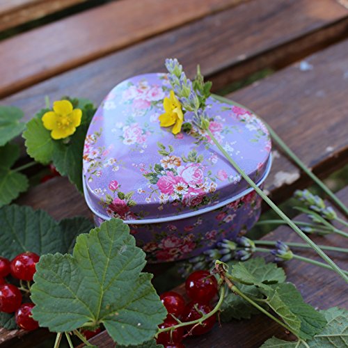 KIT 5 PEZZI, SCATOLINE IN METALLO a FORMA DI