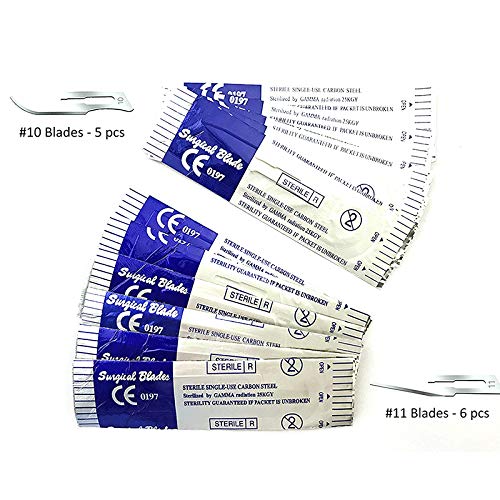 Kit de disección avanzada de alta calidad de acero inoxidable de 22 piezas para estudiantes de biología médica y veterinaria con hojas de mango de cuchillo de bisturí