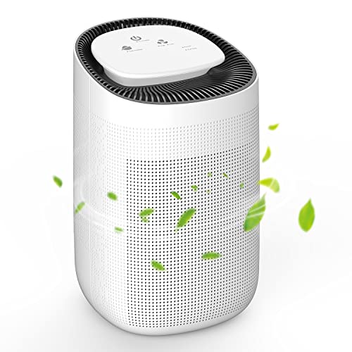 Top 10 Air Purifier And Dehumidifier of 2022 Katynel