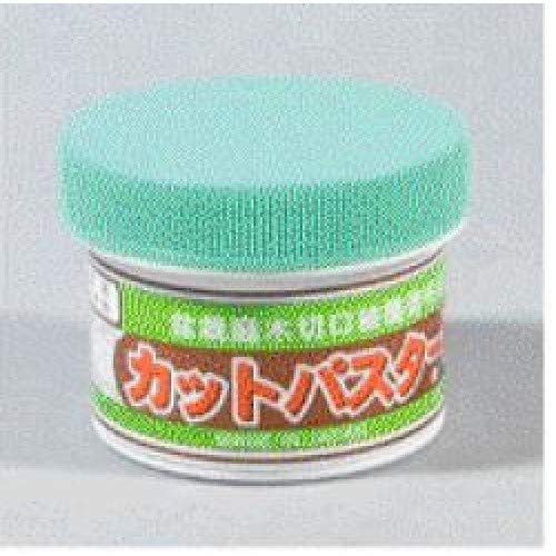 KANESHIN 154-k Mastic Japonais pour Pins et azalées avec Hormones pour bonsaï