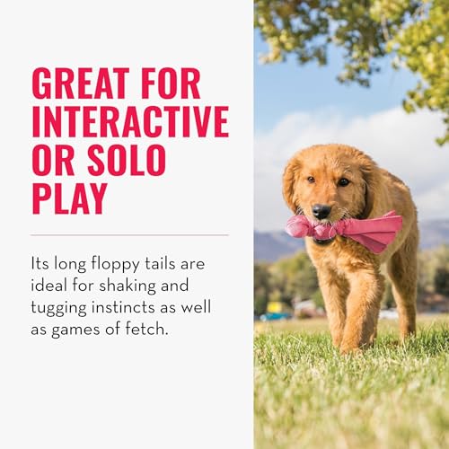 KONG – Wubba Puppy – Zerrspielzeug aus Nylon (Farbvar.) – Für Kleine Welpen