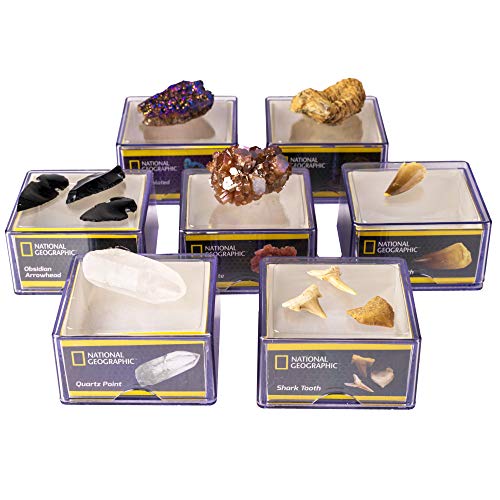 NATIONAL GEOGRAPHIC Jumbo Rock Collection - 11 Extra Large Rocks, Minerals, and Fossils, Great for Any Kids Rock Collection, Includes Acrylic Display Cases for Each Specimen, Perfect for Girls & Boys