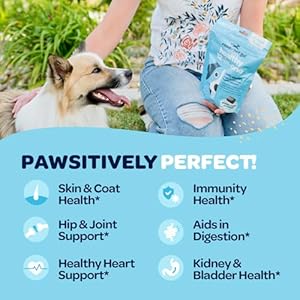 12-in-1 Dog Multivitamin Chewable Treats | Complete Multivitamin for Dogs with Glucosamine Chondroitin & Digestive Enzymes for Dogs of All Ages and Sizes | NASC Certified & Made in The USA | 60 Chews