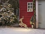 Light4fun Kleiner Hirsch mit springendem Harlow | strombetrieben | mit 120 LEDs, Timer & 3 Beleuchtungsmodi Weihnachten Weihnachtsdeko | wetterfest für Garten außen | Höhe 80 cm