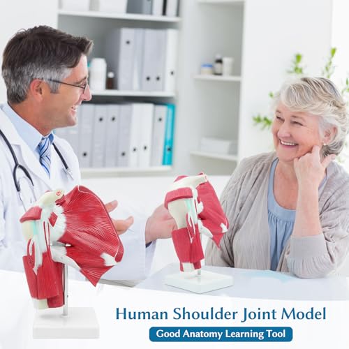 Image of SFXYJ Shoulder Joint Muscled Model, 1:1 Life Size Human Complete Shoulder Anatomy Model Musculature from Rotator Cuff to Subscapular Tendon Muscles with Product Manual for Medical Study Training
