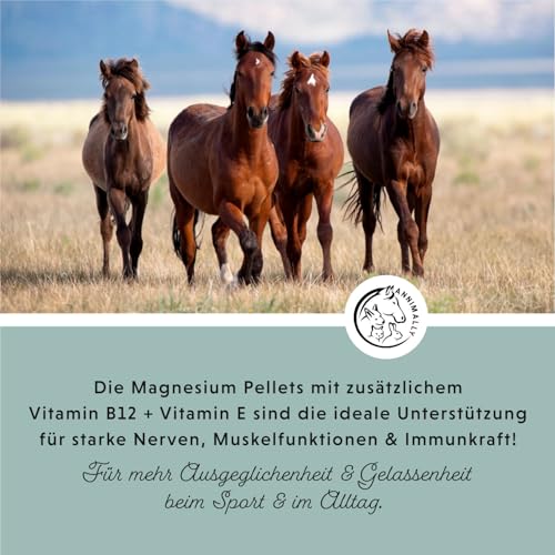 Annimally Magnesium Pellets für Pferde 1 kg - Magnesiumacetat & Magnesiumoxid für höchste Bioverfügbarkeit