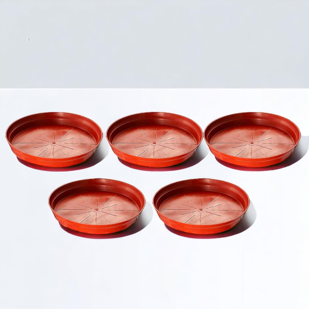 BHAJANLAL GREENERY Tray 5 inch Bottom Tray for Plant pots Planter Bottom Plate Plastic Bottom Drip Tray (Color: Brown, Size-5 inches, Pack of 5) (B09FGHK8LG) Amazon Price History, Amazon Price Tracker