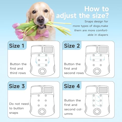 Image of Paw Legend Washable Reusable Female Dog Period Diapers for Heat Doggie Puppy Diapers for Female Dogs (3 Pack,X-Small)