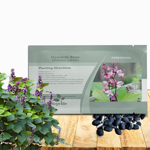 Outsidepride Green Lablab Hyacinth Bean Vine Seeds - 200 Pcs