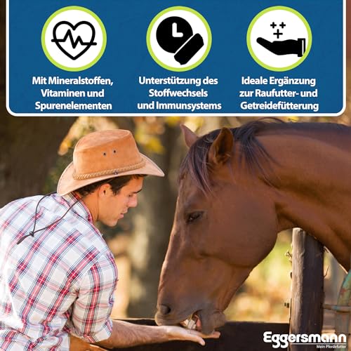 Eggersmann Mein Pferdefutter Mineral Bricks 25 kg - Mineralfutter für Pferde - Zur Unterstützung des Stoffwechsels & Immunsystems - Pferdefutter mit Mineralstoffen & Vitaminen