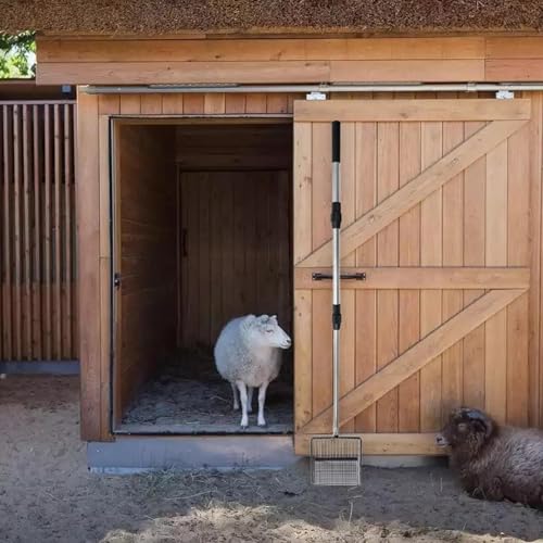 Rascador de pollo y pala extensible con 8 cabezas intercambiables para limpieza de aves 4