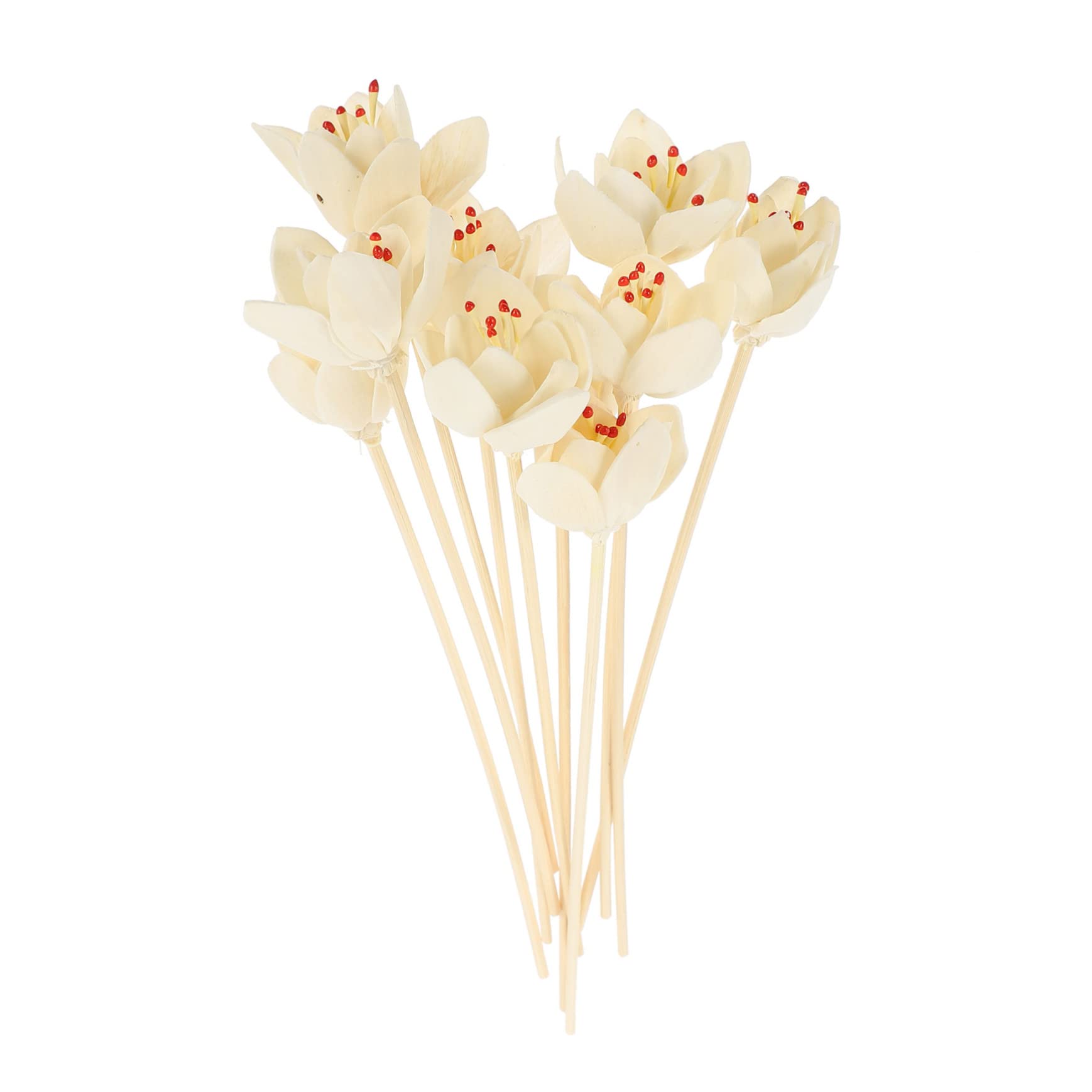PRETYZOOM 50 Stück Aromatherapie-Rattan Diffusoren zum Selbermachen Blumendiffusor getrocknet Schilf künstlich wohnungseinrichtung wohnungsdeko beige Diffusorstäbe Diffusor-Werkzeuge hölzern