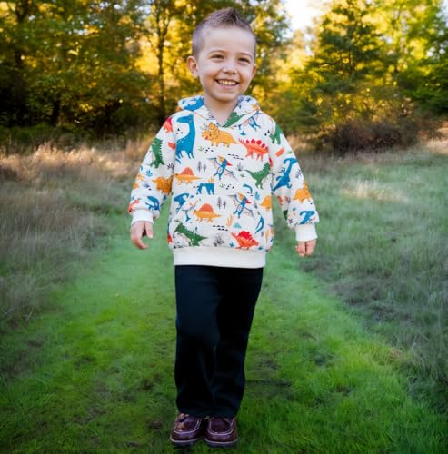 RETSUGO Baby Boys Dinosaurs Hoodie Boy Girls Truck Pullover with Pocket Toddler Boy Kids Rocket Sweatshirt 2-7Years2