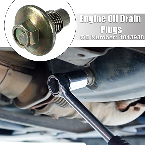 A ABSOPRO 1013938 Ölablassschraube mit Dichtring M14x1,5 Ölwannenschraube Motoröl Ablassschraube für Ford