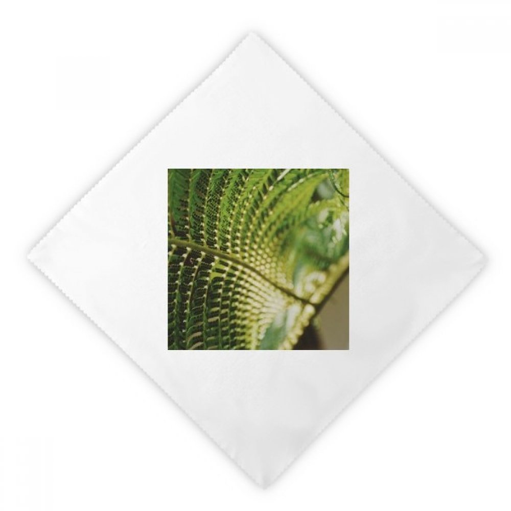 Serviettes de table plante photo blanche pour dîner chic et décoration champêtre