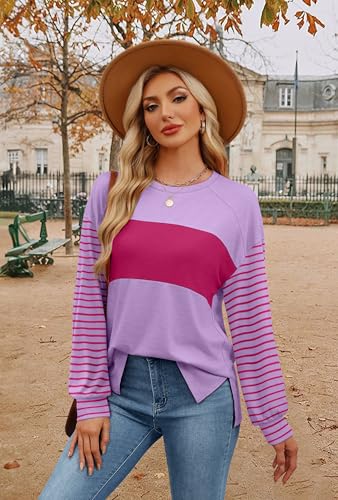 OFEEFAN Light-weight Lengthy Sleeve Shirts for Ladies Fall Vogue 2024 Colorblock Crew Neck tops Free Match Striped Shirt - Image 5
