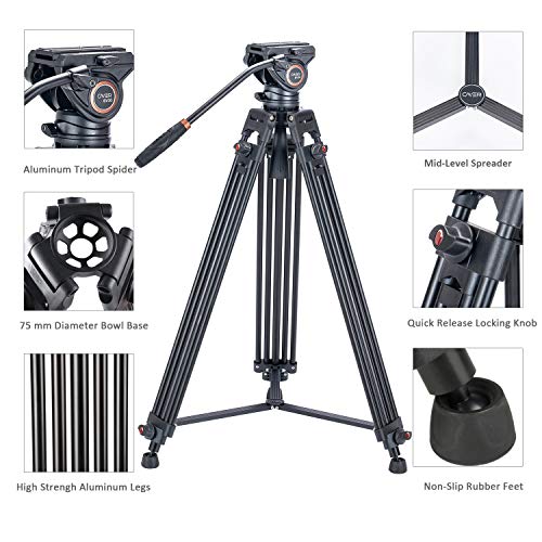 Treppiede video per impieghi gravosi, Cayer 64 pollici BV30-Camcorder Tripod System Gamba in alluminio, testina fluido K3, diffusore intermedio, caricamento massimo 13.2 LB, scatto DSLR