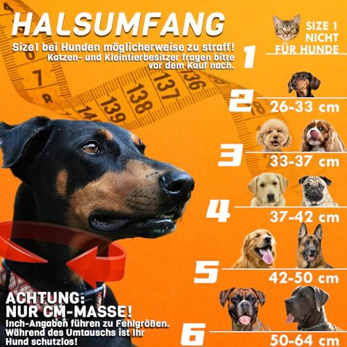 Aschpas® 2 IN 1 Aufblasbare Halskrause Hund, nur f​ür Mittel- und Großhunde Entwickelt,Trichter Leckschutz Hund nach OP, Dog Cone, Halskrause Katze, Hunde Donut [Size 6]