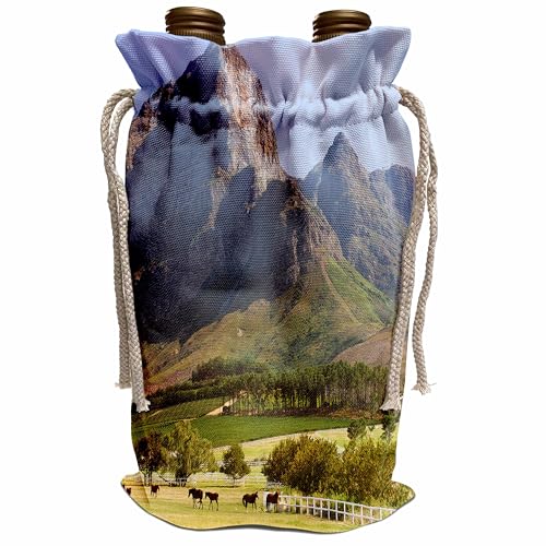 Wine Bag - Cape Town, Western Cape, South Africa. South Africa