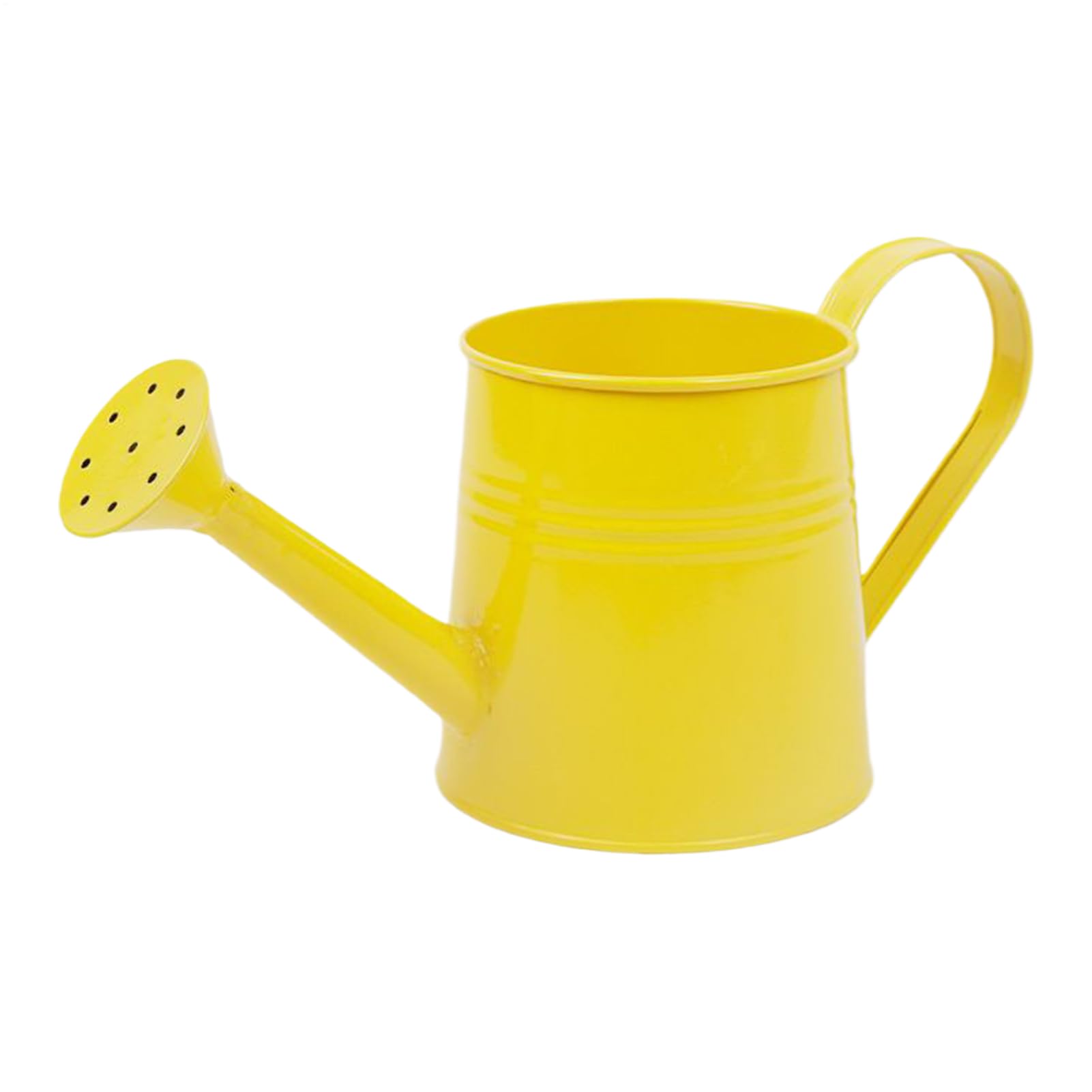 Petit Arrosoir Métal 1 Litre - Bec Long Pour Plantes D'Intérieur | Rebord Fenêtre, Étagère