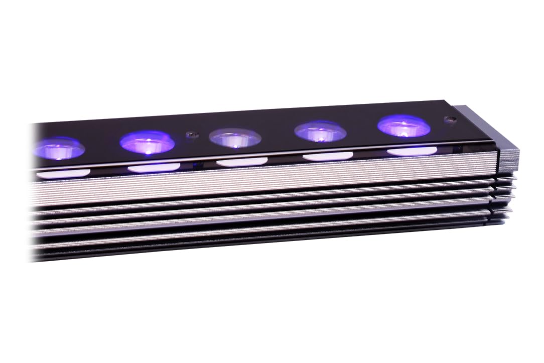 Amazon.com: Orphek OR4 iCon LED Bar (UV Violet, 30) : Pet Supplies
