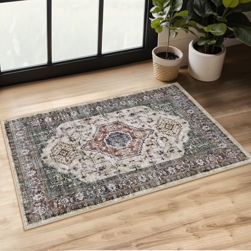 Lahome Oriental Small Rugs for Entryway, 2x3 Kitchen Rugs Non Slip Washable