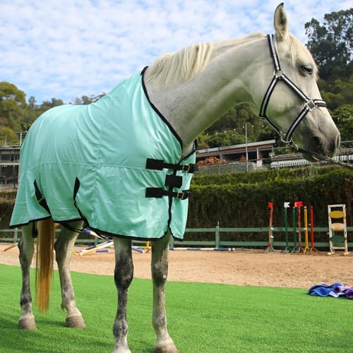 image for Gallopoff Horse Fly Sheet, Standard Neck Comfy Mesh Fly Sheet for Hors