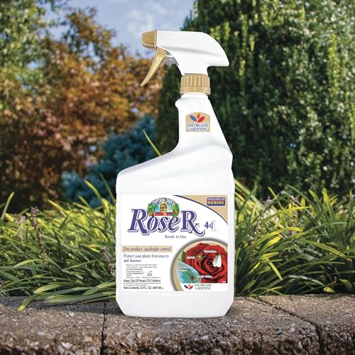Bonide Captain Jack's Rose Rx 4-in-1 Insect & Disease Control, 32 oz Ready-to-Use Spray Neem Oil for Organic Gardening - image 7