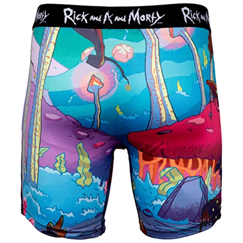 Rick and Morty Chased Out Of Portal Boxer Briefs (as1, alpha, one_size, regular, regular, Large (36-38))2