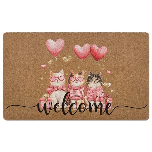 XLDLIOO Valentines Cat Door Mat