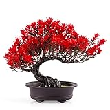 Frjjthchy Artificial Bonsai Tree Fake Plant Mini Fake Bonsai Tree with Plastic Cement Pots for Home Office Décor (Red)