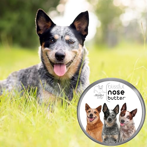 Image of The Blissful Dog Australian Cattle Nose Butter, Versatile Dog Nose Balm for Dry Nose, Handcrafted Nose Moisturizer, Easy-to-Apply Dog Essentials, Unscented, 1 oz.