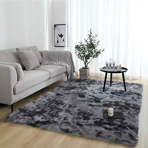 WE-WIN Large Fluffy Rugs Anti-Skid Shaggy Area Rug Dining Room Home Bedroom Floor Mat,31.5 * 47.3inch