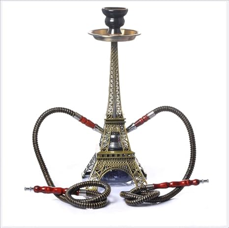 GUBAOPQLA Premium Portable Cachimba Shisha, Inoxidable cachimba Shisha Set Completo, Tubo de inmersión Inoxidable y difusor, Cabezal de Chimenea, colector de melaza, Boquilla Inoxidable portátil