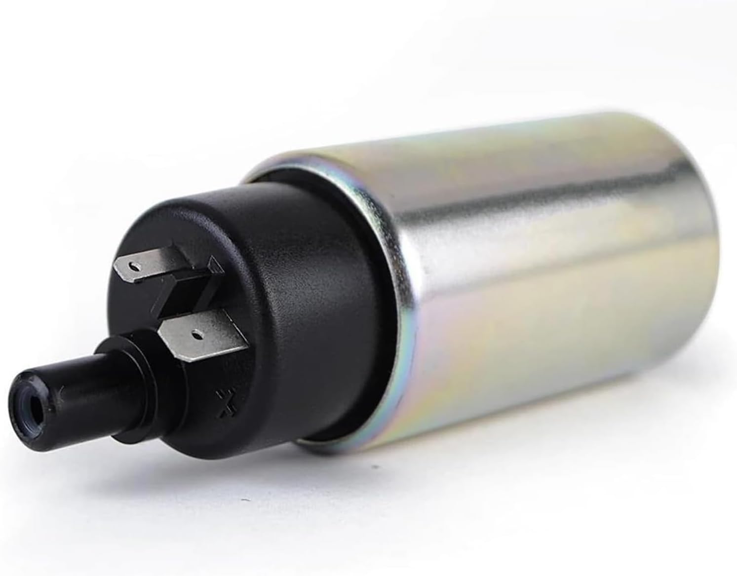 希少 マコデス ペトラ 西カリマンタン産 増殖株 希少 マコデス ペトラ