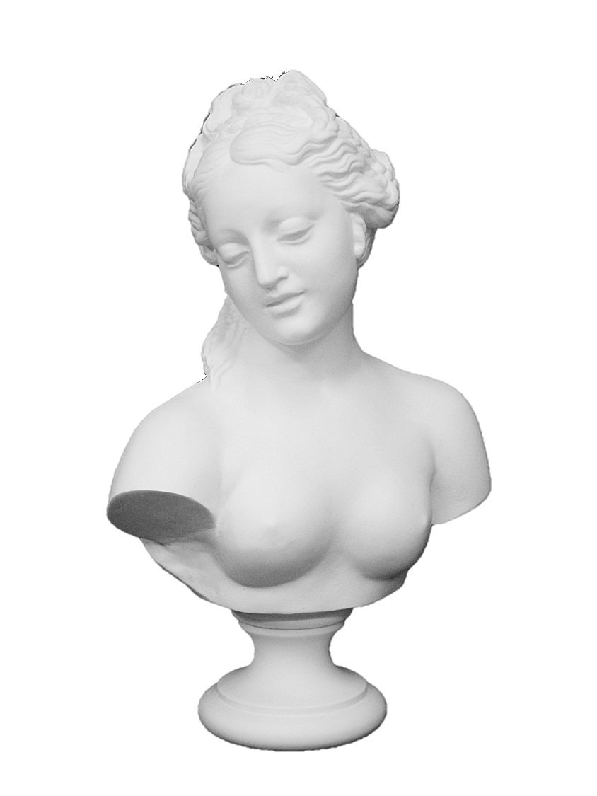 Amazon.co.jp: 石膏像 A－398 アレグラン作水浴胸像 H．34cm