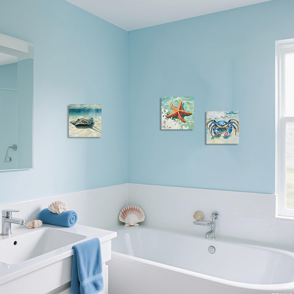 ZQQART Leinwandbilder mit blauer Krabbe 3er Set Krabbe Mantarochen Seestern Nautische Badezimmer und Stranddekoration Küstenkunst mit Rahmen (50x50cmx3)