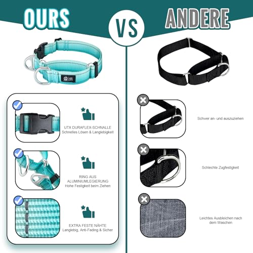 Arblina Martingale Halsband, Reflektierendes Zugstopp Halsband Hunde für Große Mittlere und Kleine Hunde, Nylon Hundehalsband Anti Zug, Anti-Pull Collar for Dogs, Türkis, M