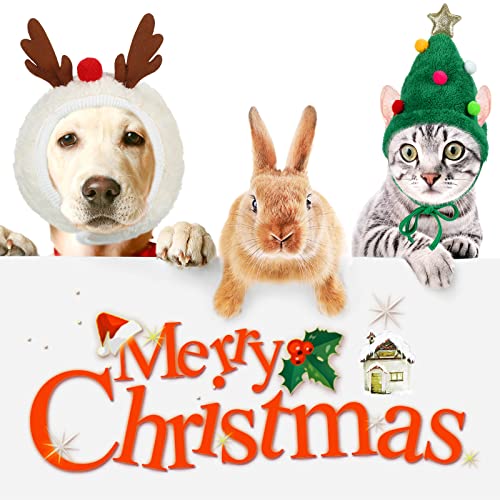 Sombrero Navideño para Perros y Gatos Xuniea Verde S miniatura 7