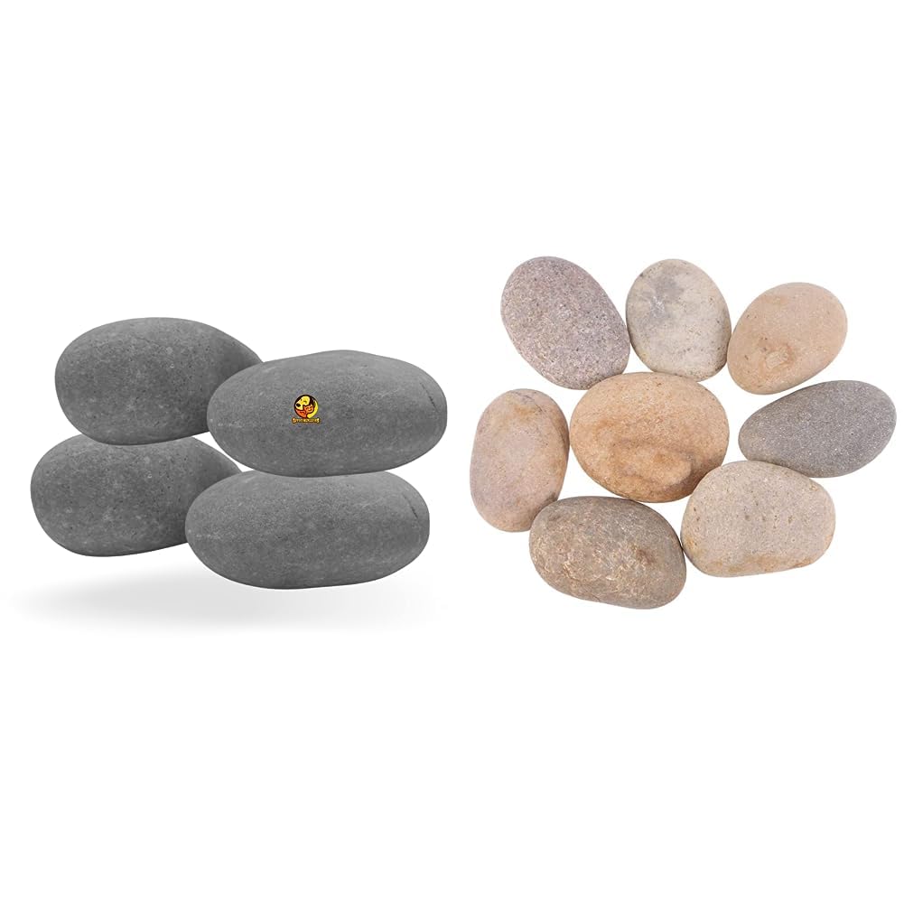 Foodie Puppies Large Size Oval Shape (Giant Stone, Pack of 4) (9cm - 11cm) & River Rocks (Monster Stone, Pack of 10) (5cm - 8cm) Unplanted Substrate (B0CDDJB3JH) Amazon Price History, Amazon Price Tracker
