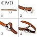 CIVO Genuine Grain Leather NATO Zulu Military Swiss G10 Watch Band Strap 18mm 20mm 22mm with Stainless Steel Buckle (Brown, 20mm)